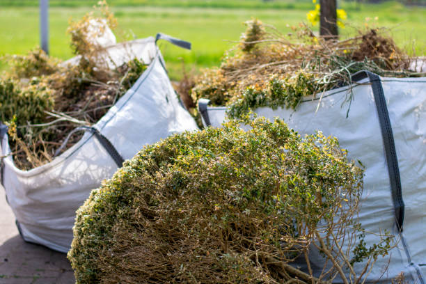 Best Electronics Removal Services  in West View, PA